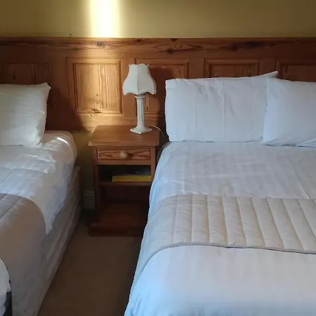 Casa de hóspedes Avonmore House Guest 4*