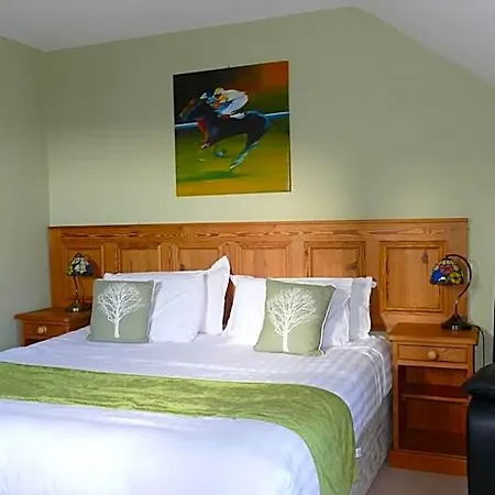 Casa de hóspedes Avonmore House Guest 4*