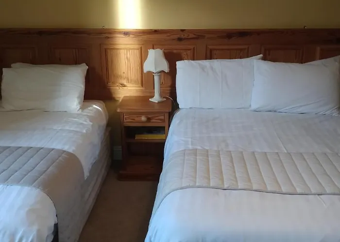 Гостевой дом Avonmore House Guest 4*